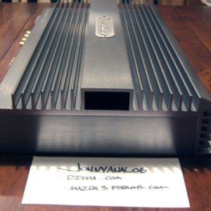 dls a5 4