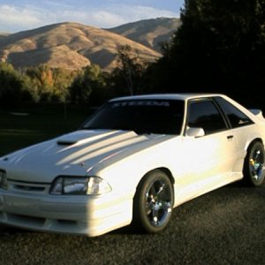 mymustang2