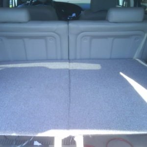 trunk