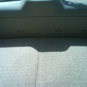 trunk again