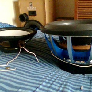 my new subs