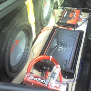 trunk pic 1