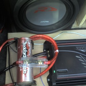 Trunk pic 2