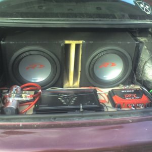 Trunk pic 3