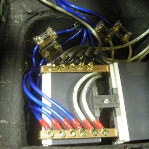 D3100's wired up and done