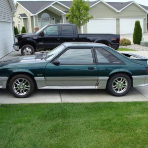The stang
