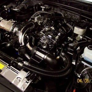 Engine Bay