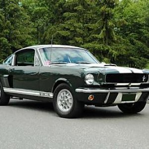 1966 shelby gt