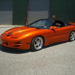 02 Kandy Copper WS6