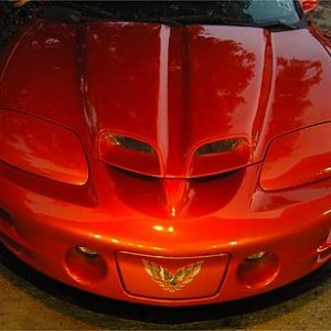 02 Kandy Copper WS6
