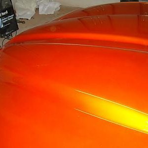 02 Kandy Copper WS6
