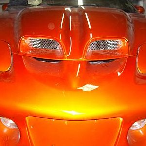 02 Kandy Copper WS6