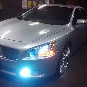 maxima