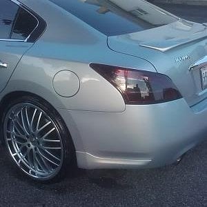 taillight tint