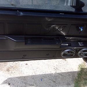 door panel