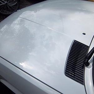 My Bmw fresh paint