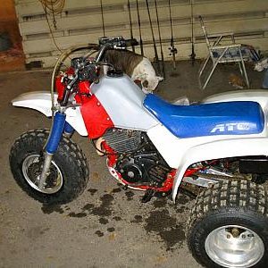 1986 Honda 350X