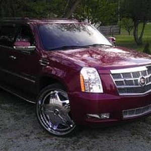 07 ESV