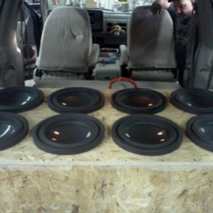 8x 10 Alpine 's
