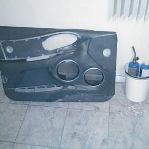 door panels