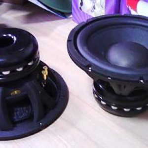 12in. neo subs