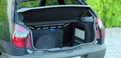 A general view of the trunk