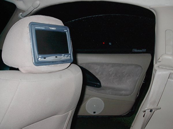 Clarion TV in the headrest and custom door.
