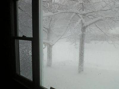 frontwindow 392660