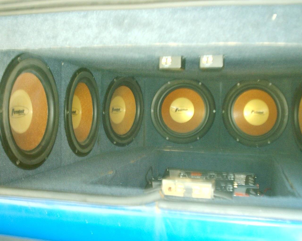 lotsa bass