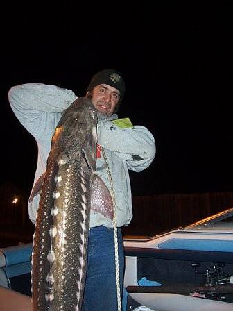 My first sturgeon