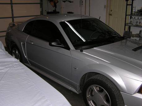 my mustang
