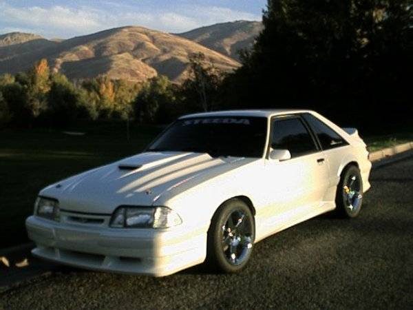 mymustang2