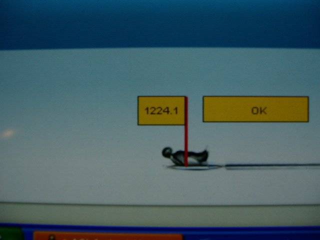 pingu score