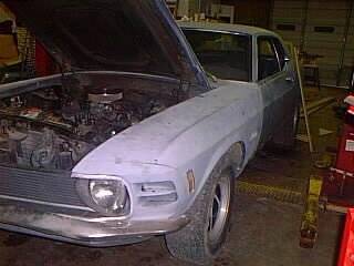 stang2