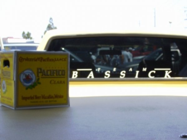 team bassick and Pacifico