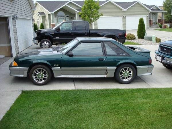 The stang