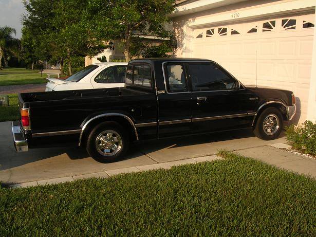 the whip