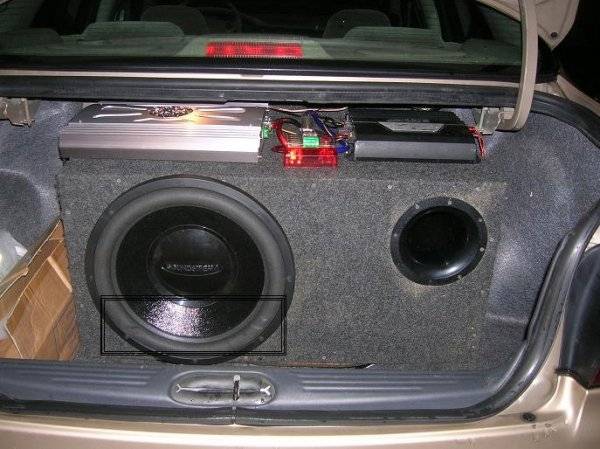 trunk pic 1