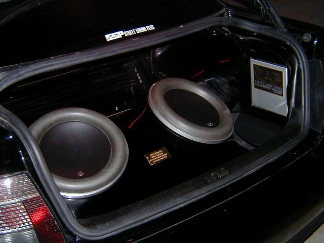trunk4