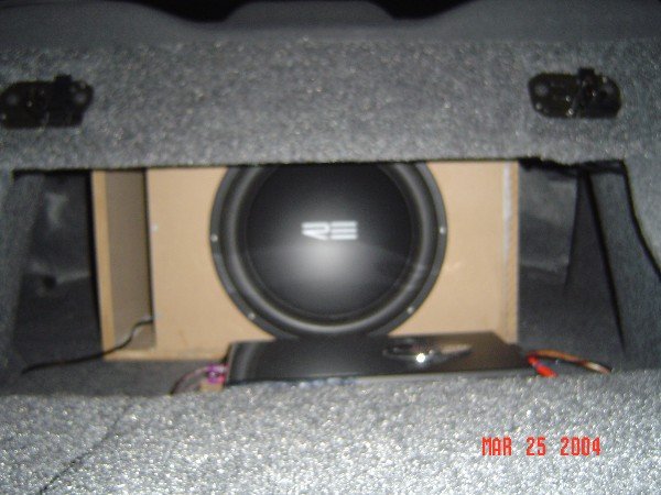 Trunk view of SX 15"