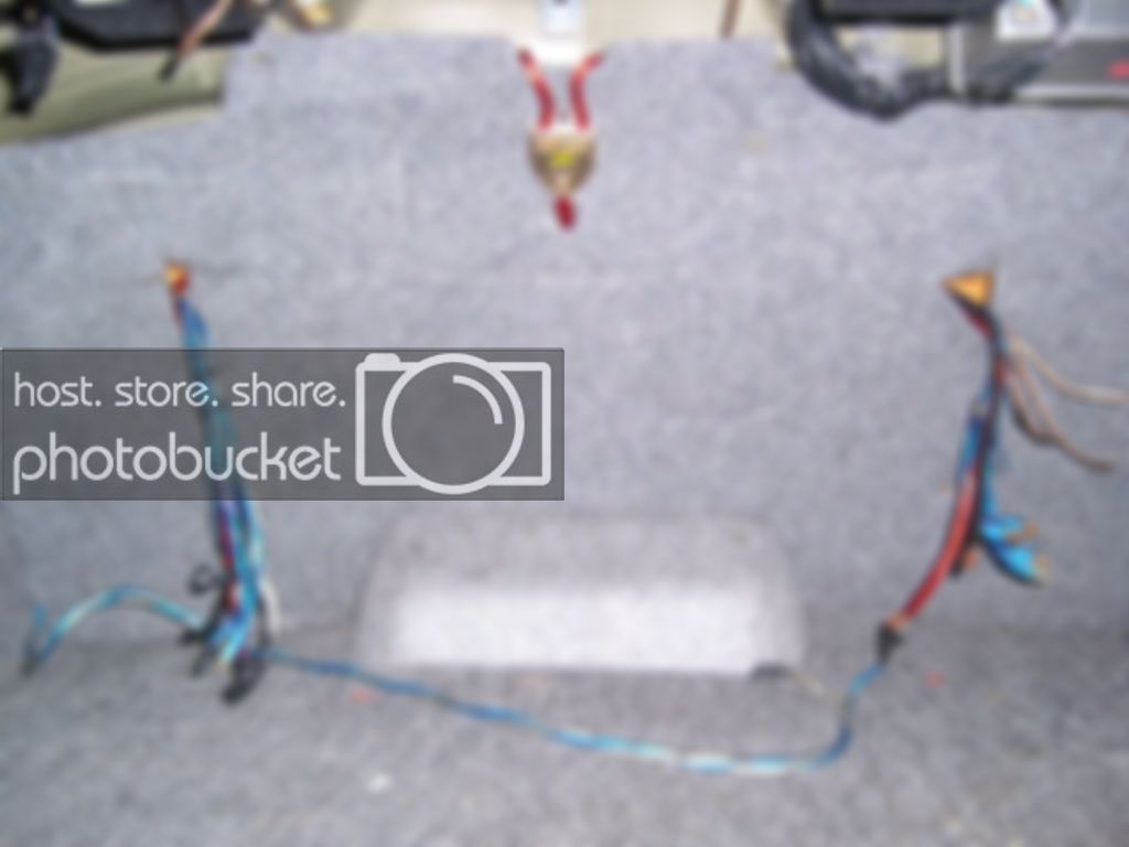 SL730574.jpg