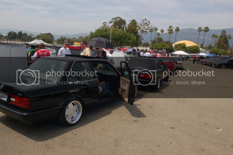 favbimmer.jpg
