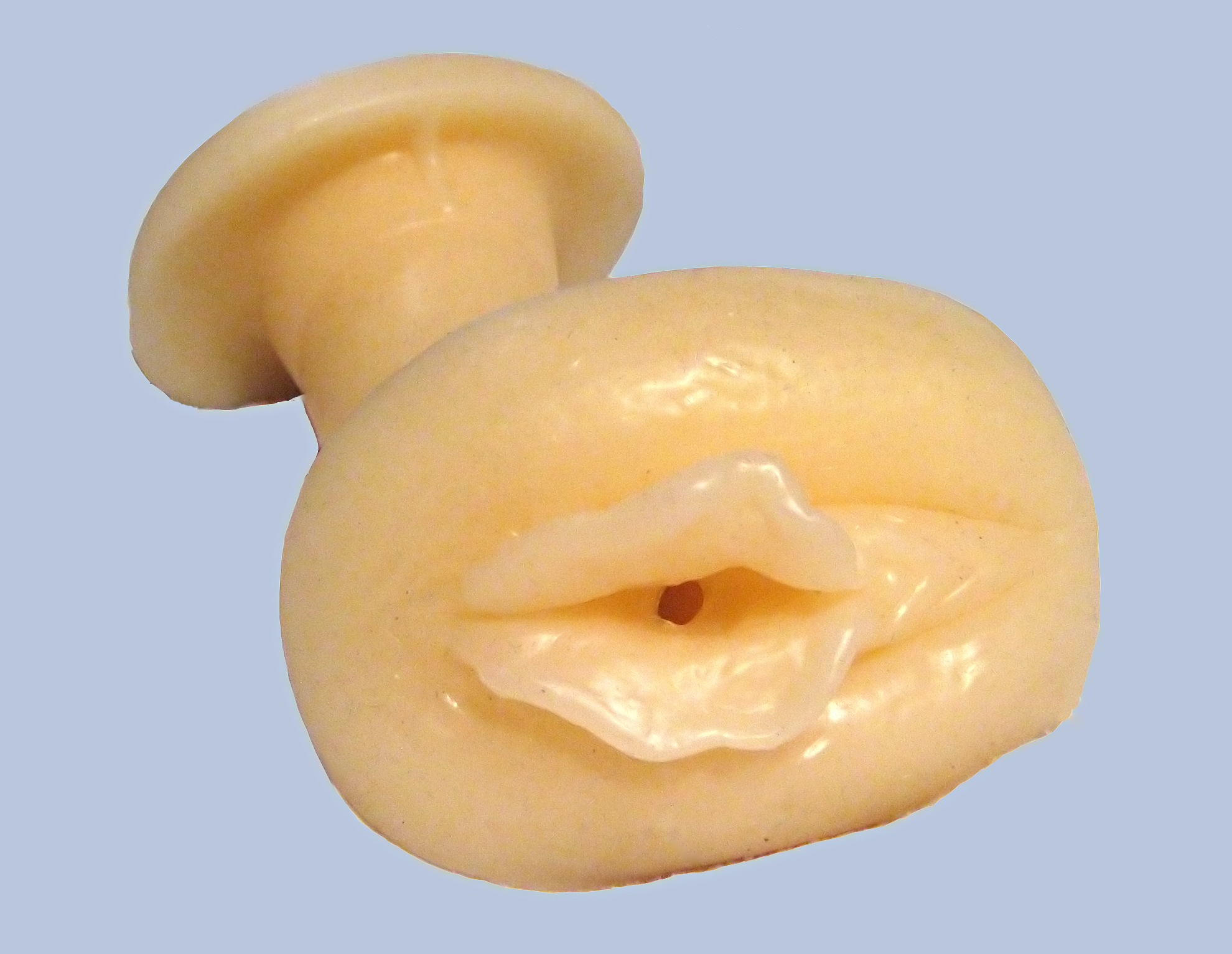 Artificial_vagina-3.jpg