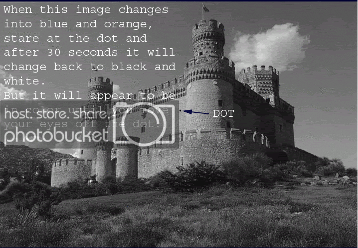 castleillusion3sh.gif
