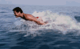 Hoff_the_Swimmer.gif