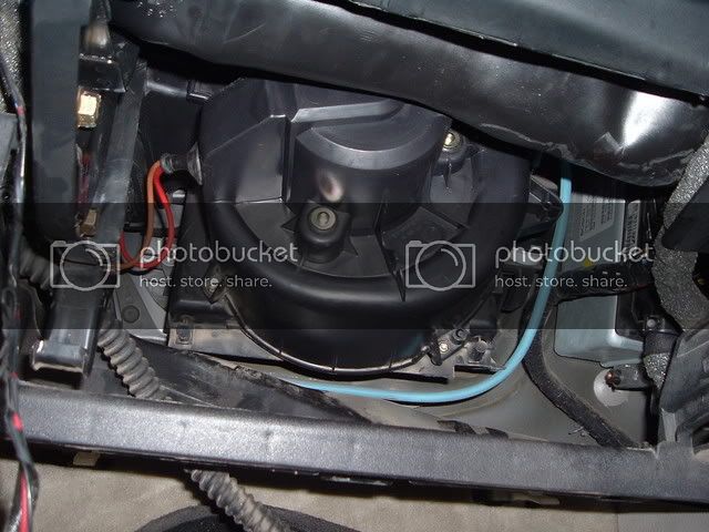 New7-6-07005.jpg