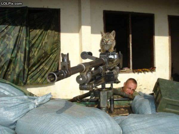 Funny_Pictures_10944.jpg