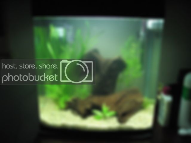 tank003.jpg