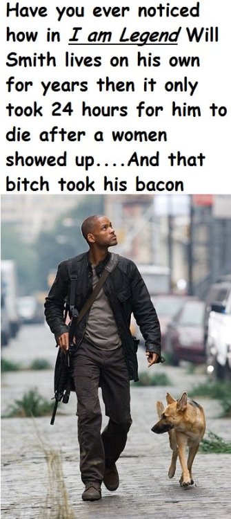 tumblr_lj1esx8mRt1qe6jl5o1_500.jpg