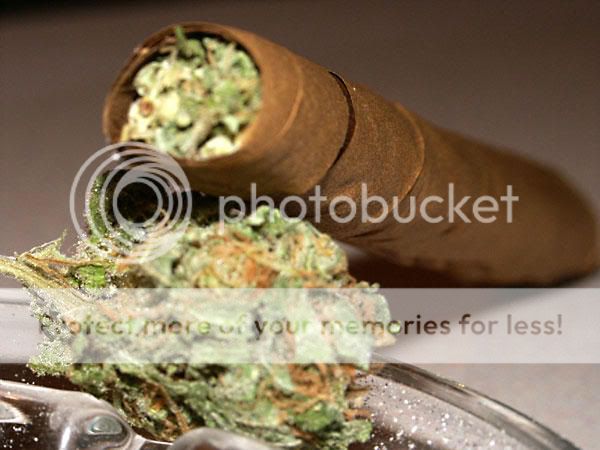 weed.jpg